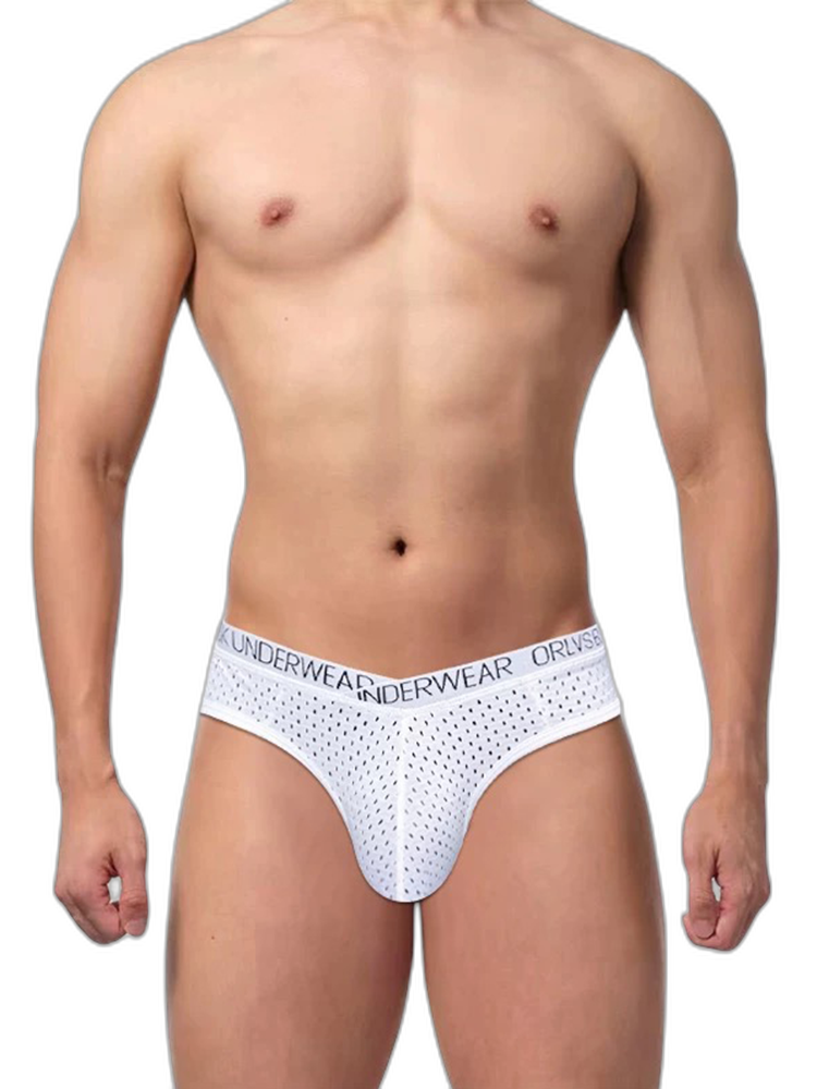 2 Pack Men's Sexy V-shape Waistband Mesh Bikinis