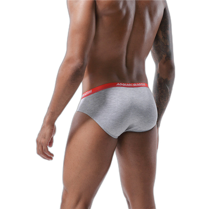 4 Pack Modal U Convex Pouch Seamless Briefs for Men