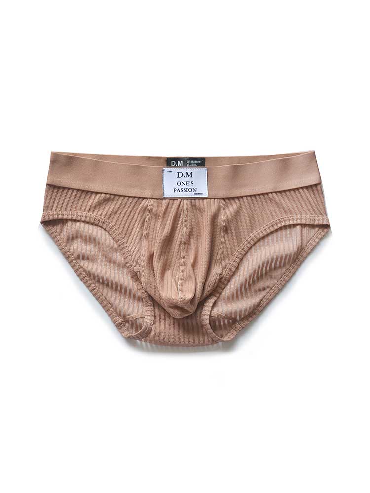D.M Men's Sexy Low-Rise Mesh Breathable Briefs