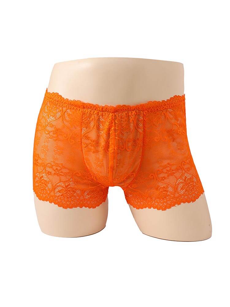 Men's Solid Color Translucent Lace Stretch Trunks