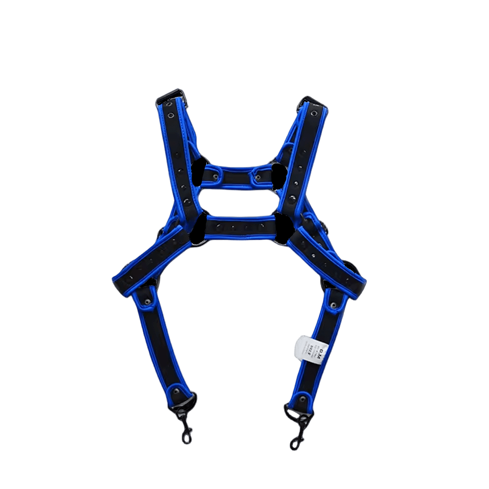 Dog & Master Body Harness Blue