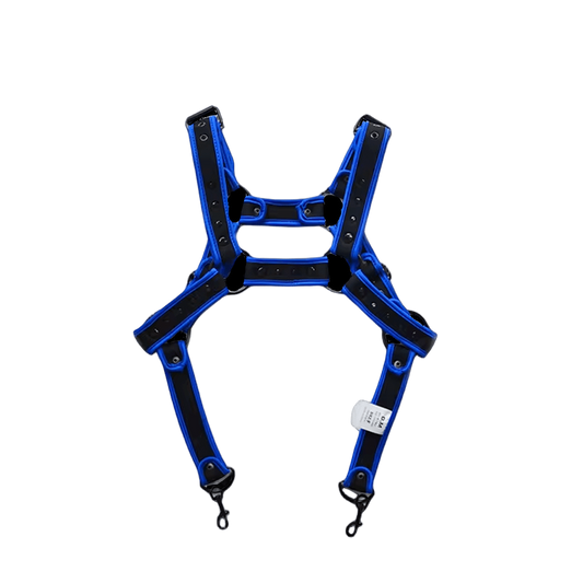 Dog & Master Body Harness Blue