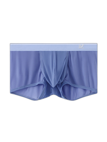 2 Pack Men's Breathable Mesh Trunks with Fly