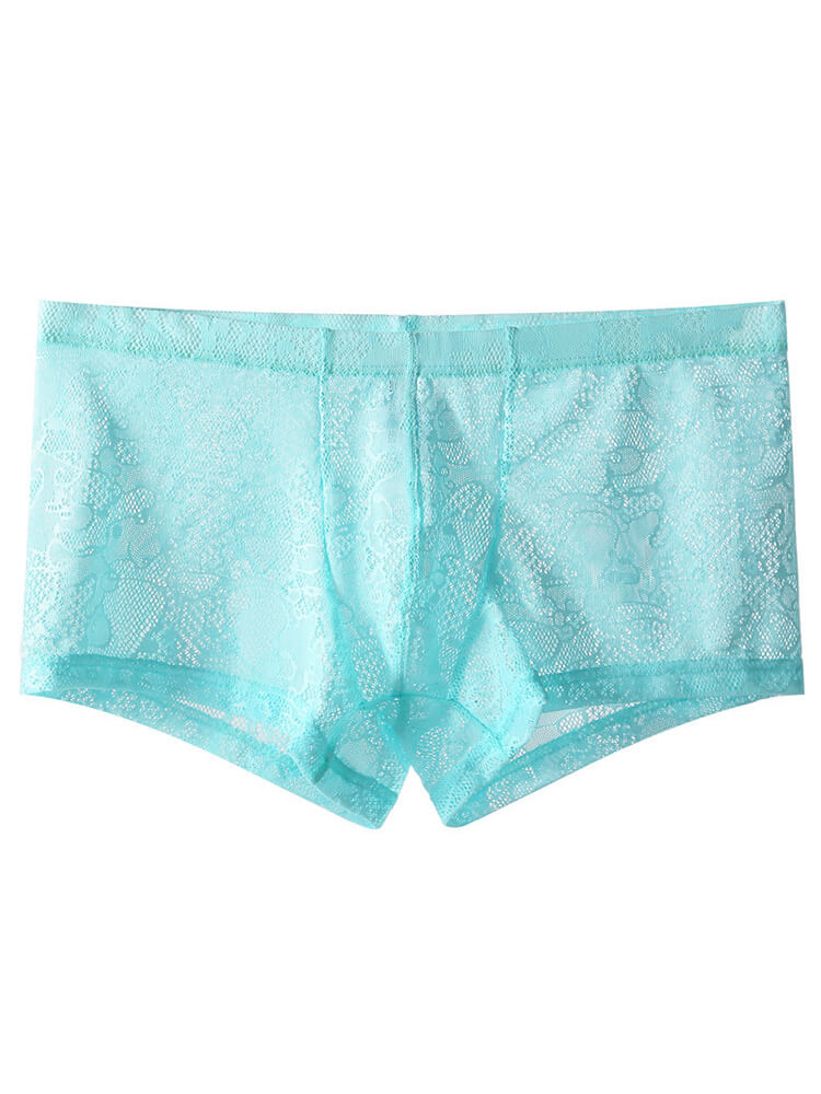 Men's Low-Rise Sexy Lace See-Through Boxer Briefs