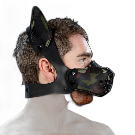Mr S Leather Neoprene K9 Kit Camo