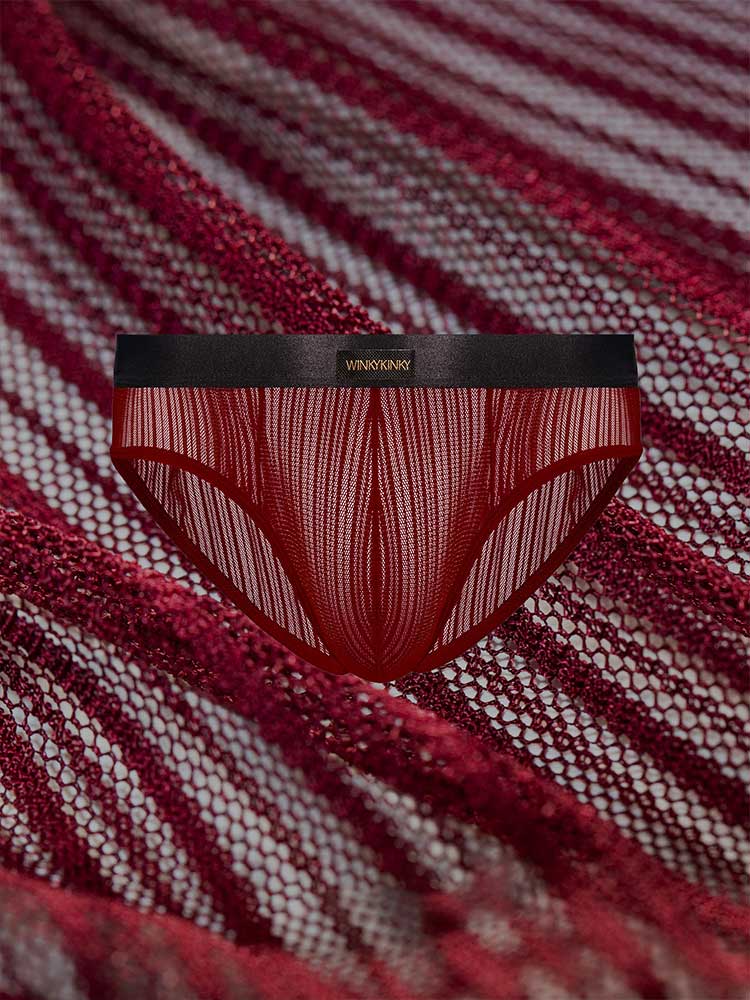 Men's Low-Rise Sexy Sheer Lace Breathable Briefs