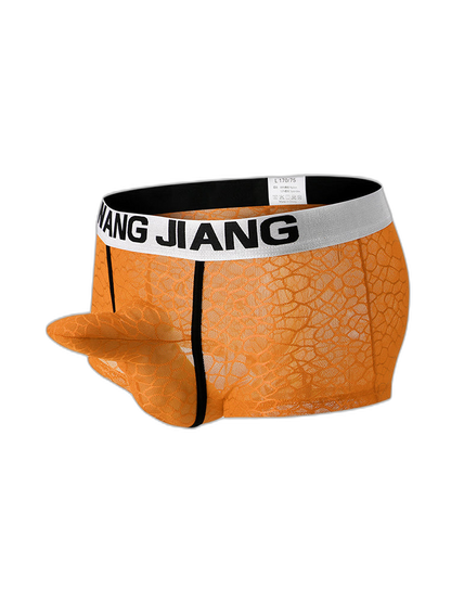 2 Pack Men's Ice Silk Lace Solid Sexy Trunks