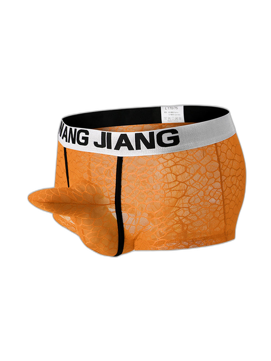 2 Pack Men's Ice Silk Lace Solid Sexy Trunks