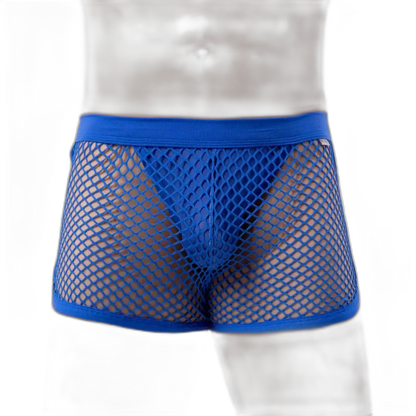 AllureFit Sexy Mesh Boxers Briefs