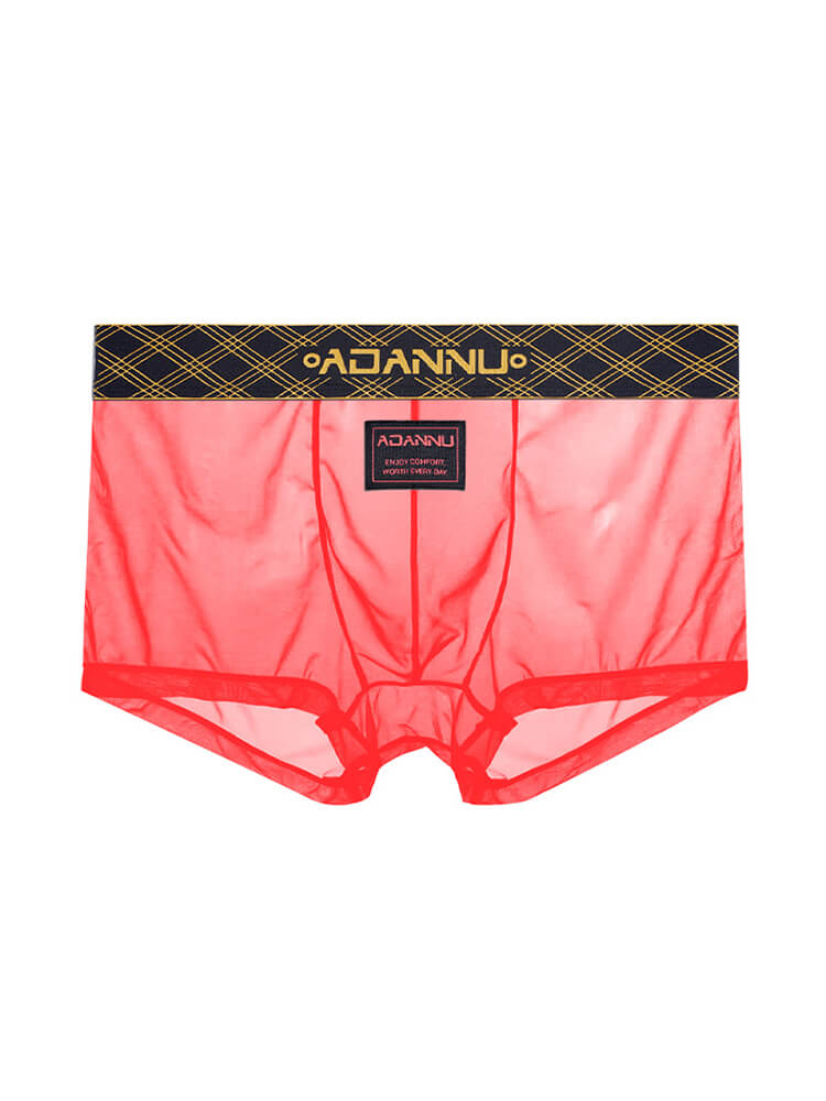 Men's Embroidered Sexy Sheer Sports Thin Boxer Briefs
