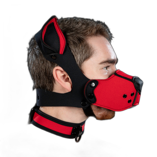 Mr S Leather Neoprene K9 Muzzle  Red