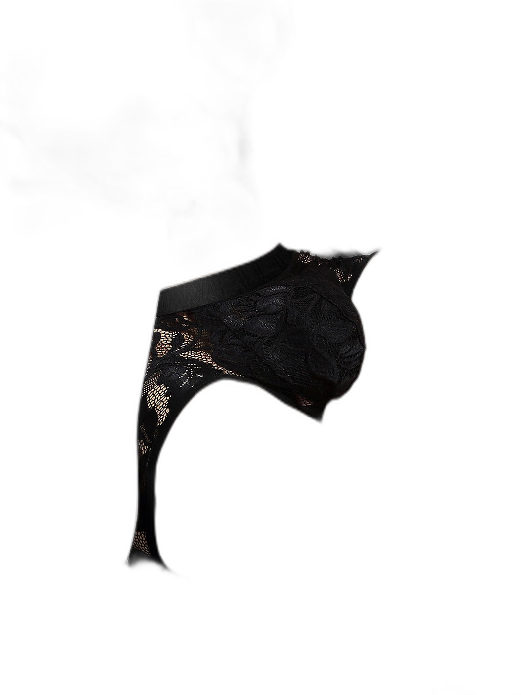 Men's Sexy Lace Semi-Sheer Trunks