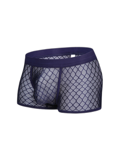 2 Pack Men's Sexy Transparent Mesh Trunks