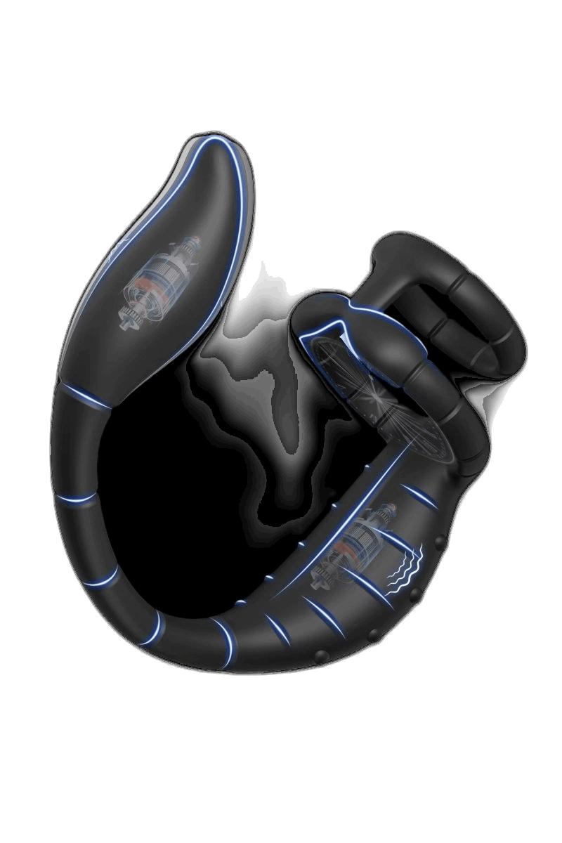 Prostate Massager Cock Ring