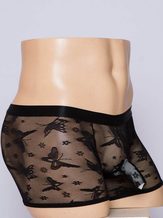 Men's Sexy Sheer Mesh Form-Fitting Boxer Briefs