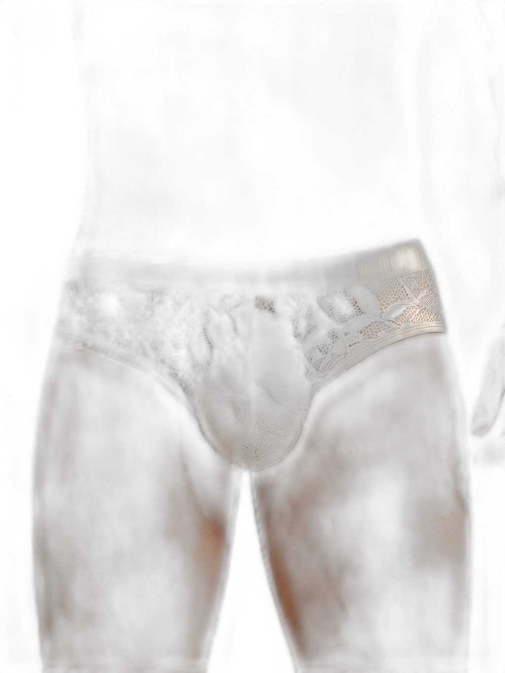 Men's Sexy Lace Semi-Sheer Trunks