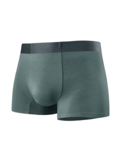 2 Pack Men's Anti-Bacterial Modal Trunks