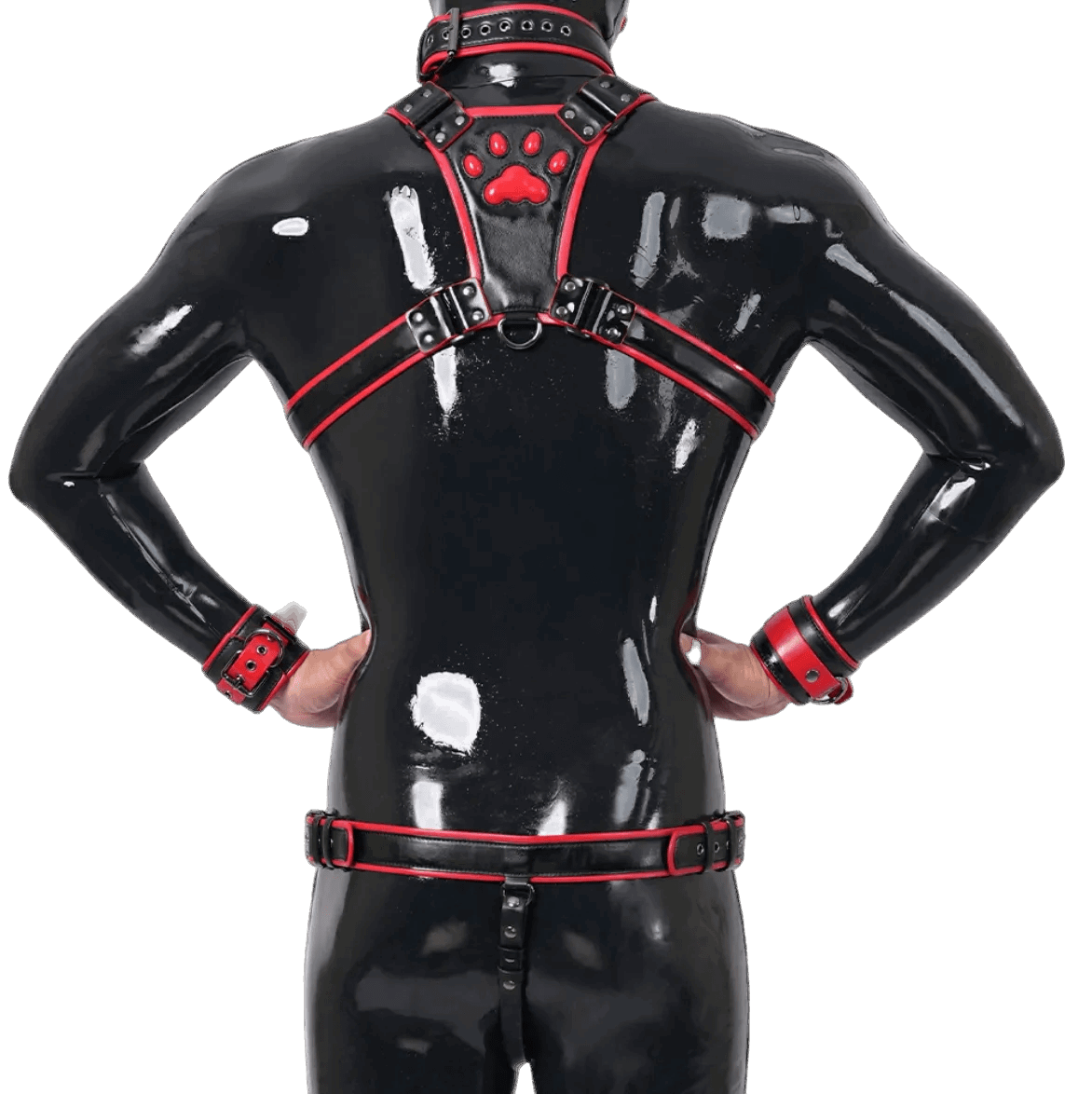 Furrjoi Harness, Cuff, Collar, Lead Underwear Bundle Red
