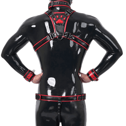 Furrjoi Harness, Cuff, Collar, Lead Underwear Bundle Red