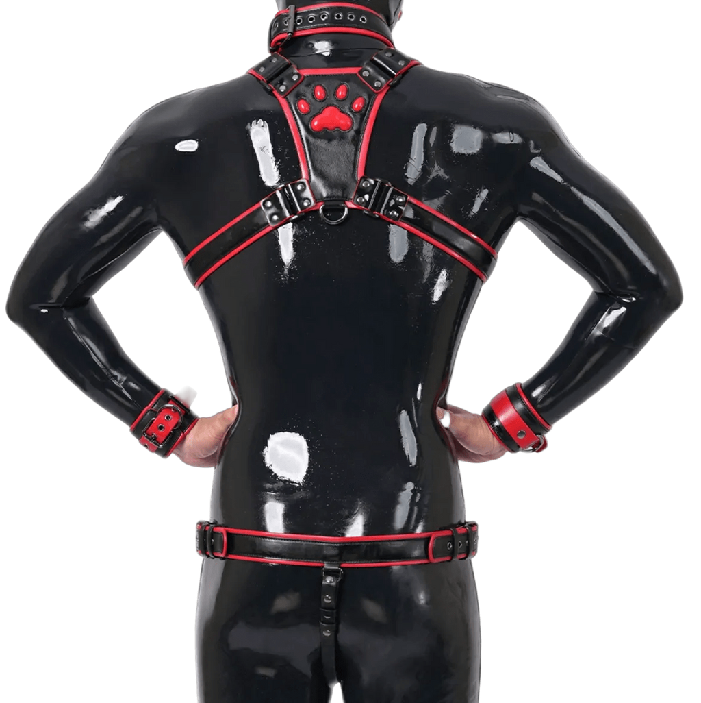 Furrjoi Harness, Cuff, Collar, Lead Underwear Bundle Red