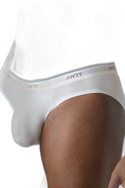 3 Pack THROWBACK Briefs