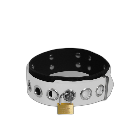 Dual-Colored Silicone Collar