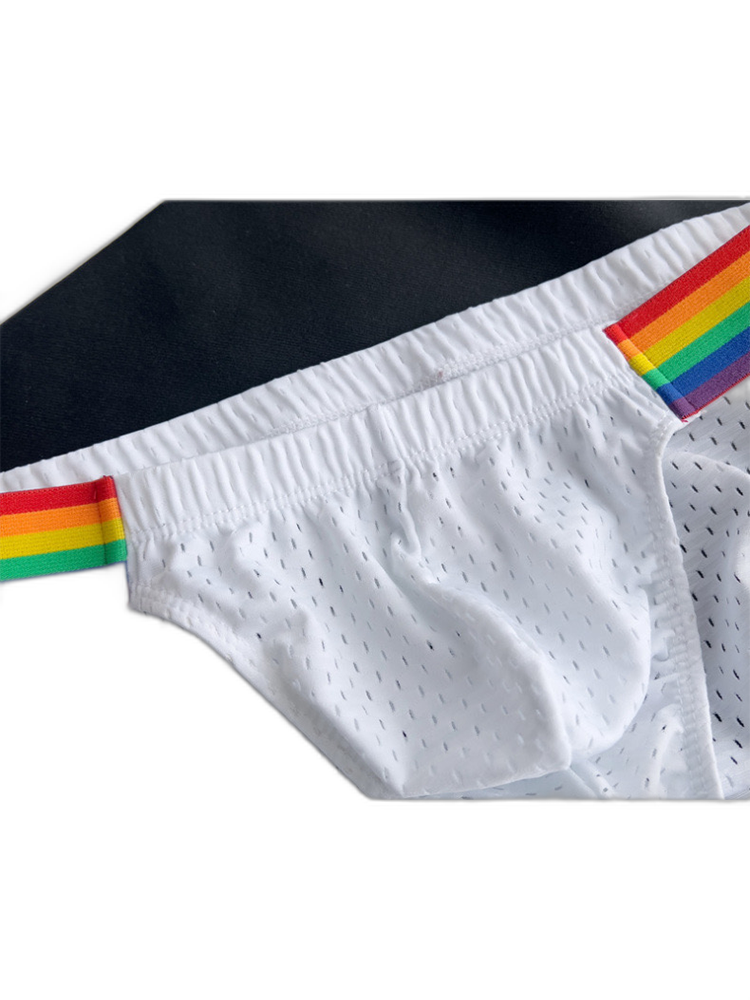 Men's Sexy Rainbow Pride Mesh Bikini