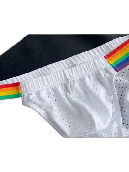 Men's Sexy Rainbow Pride Mesh Bikini