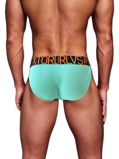 Men's Low Rise Sexy Pouch Briefs