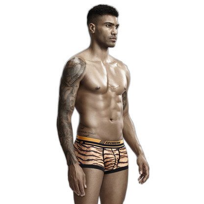 Seobean Tiger Boxers
