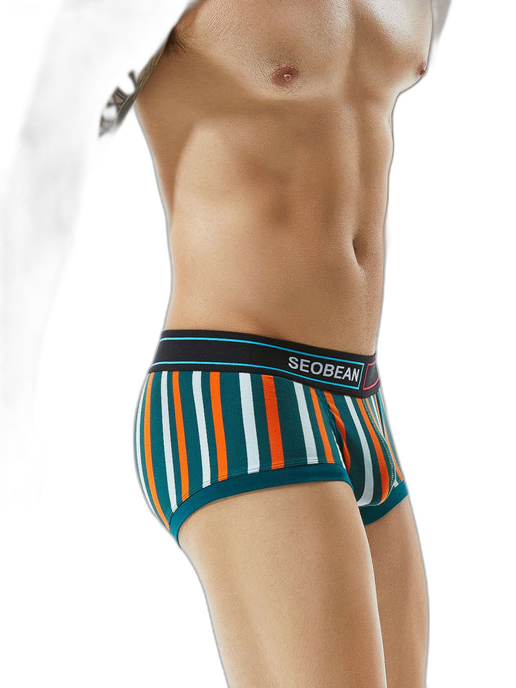 2 Pack Men's Colorful Striped U Convex Pouch Trunks