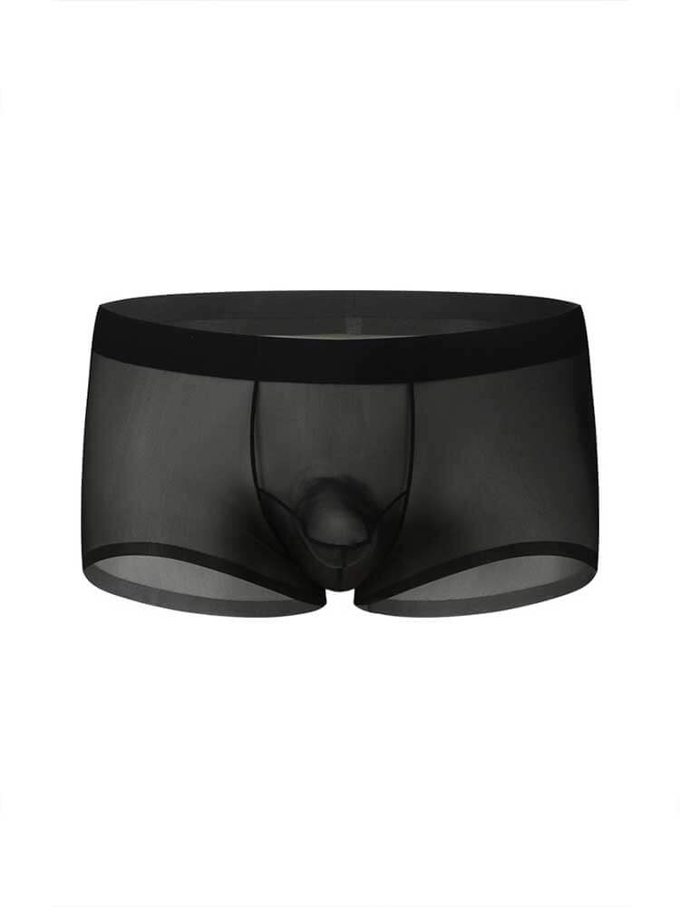 Men's Sexy Seamless Sheer Ice Silk Boxer Briefs