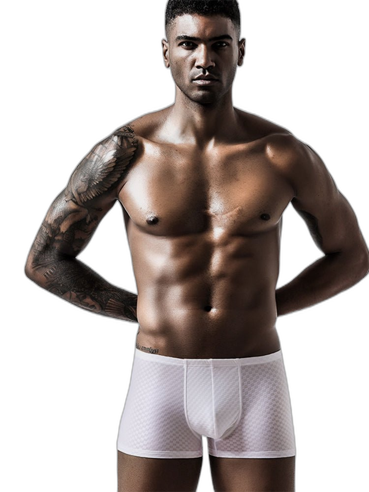 2 Pack Breathable Grid Ice Silk Men's Underwear