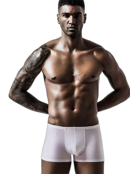 2 Pack Breathable Grid Ice Silk Men's Underwear