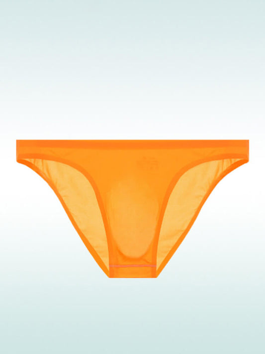 Men's Sexy Sheer Seamless Nylon Briefs