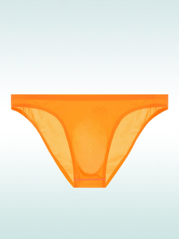 Men's Sexy Sheer Seamless Nylon Briefs
