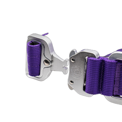 4cm Tactical Collar Purple