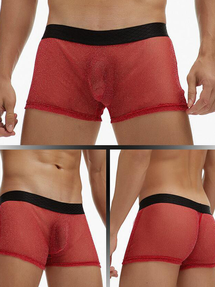 Men's Sheer Mesh Pouch Boxer