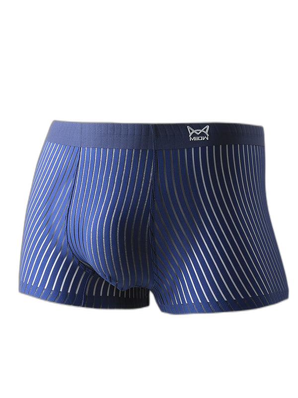 2 Pack Silk Striped Men's Super Thin Underwear