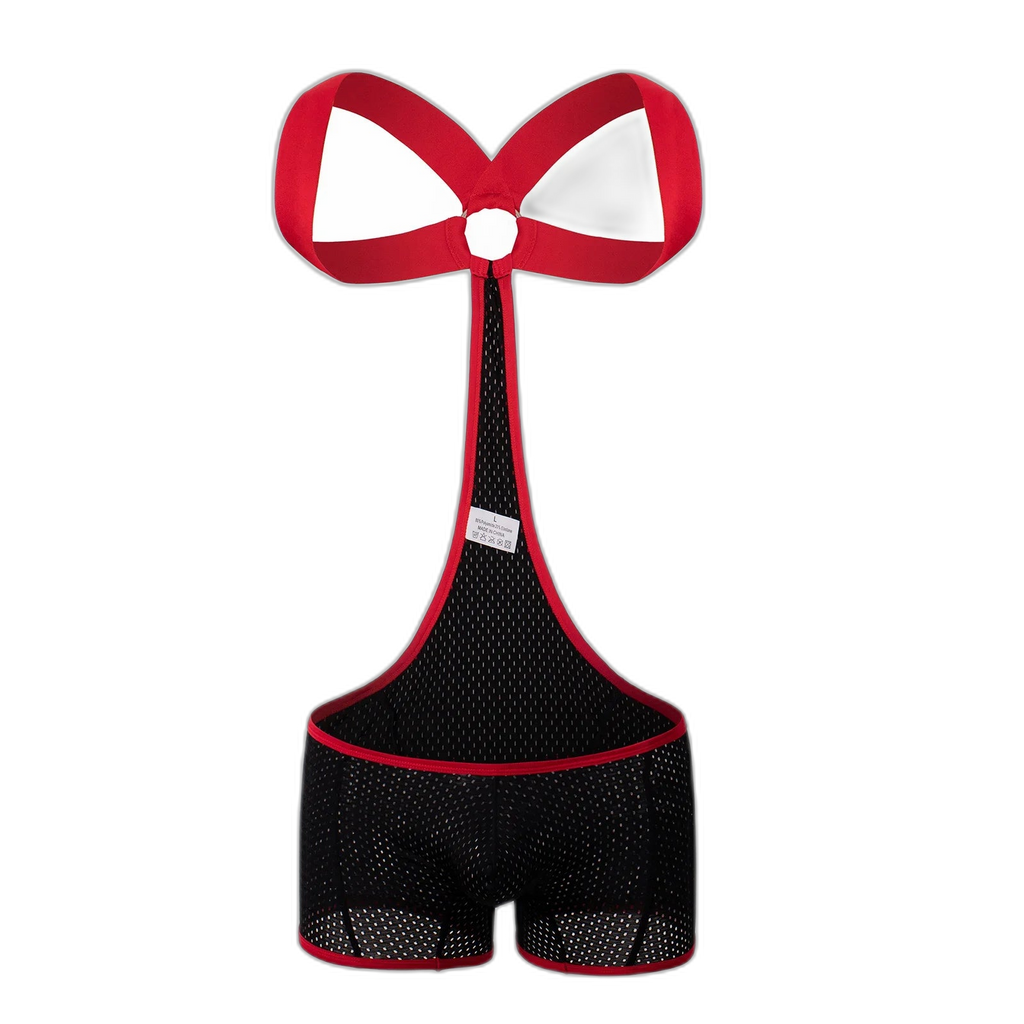 Kink Wrestling Dream Mesh Bodysuit