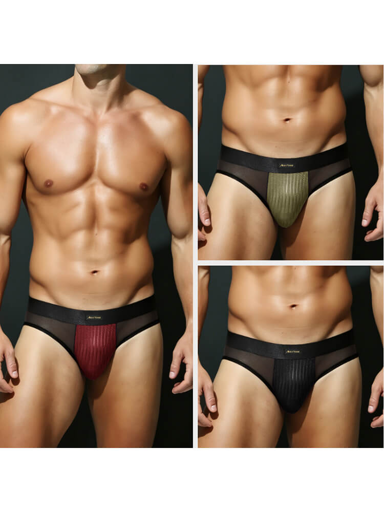 Men's Low-Rise Sexy Mesh-Paneled Breathable Briefs