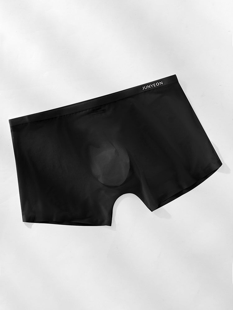Men's Sexy Sheer Ultra-Thin Ice Silk Boxer Briefs