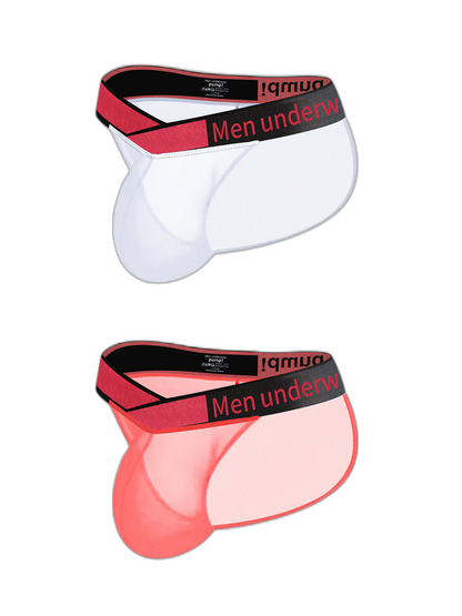 2 Pack Men's Large Pouch Semi-Transparent Sexy Bikini