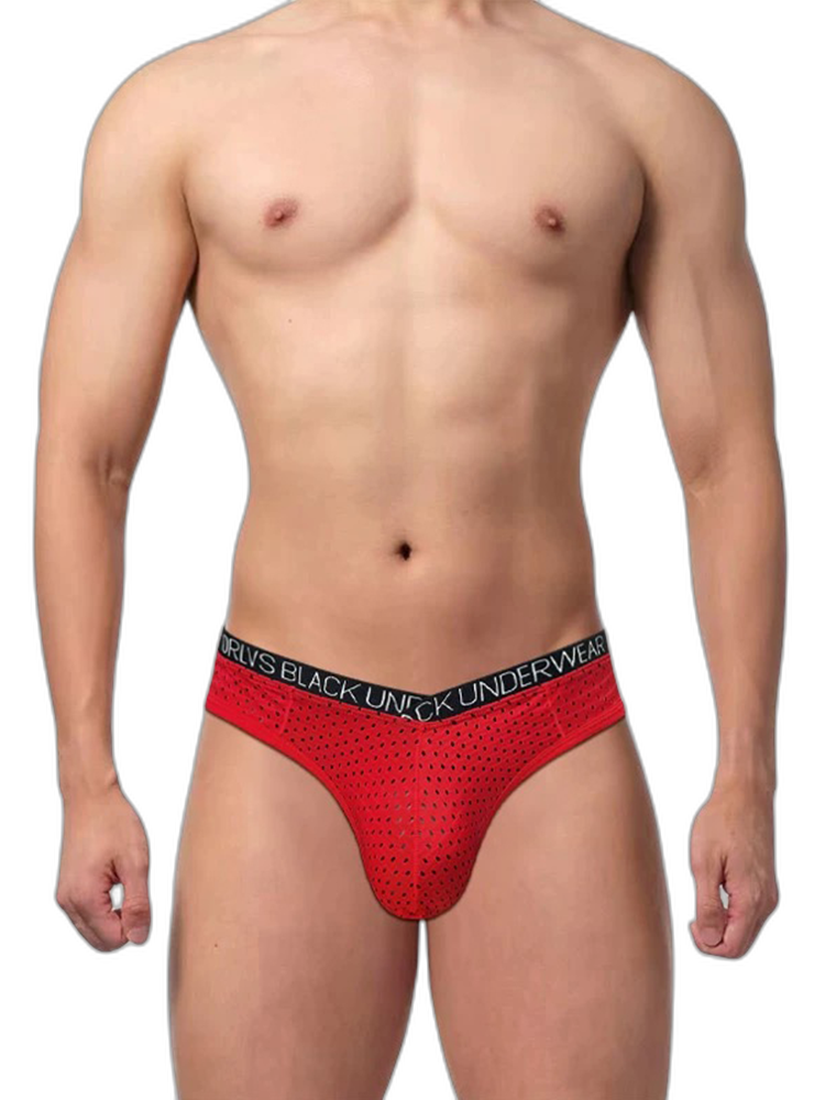 2 Pack Men's Sexy V-shape Waistband Mesh Bikinis