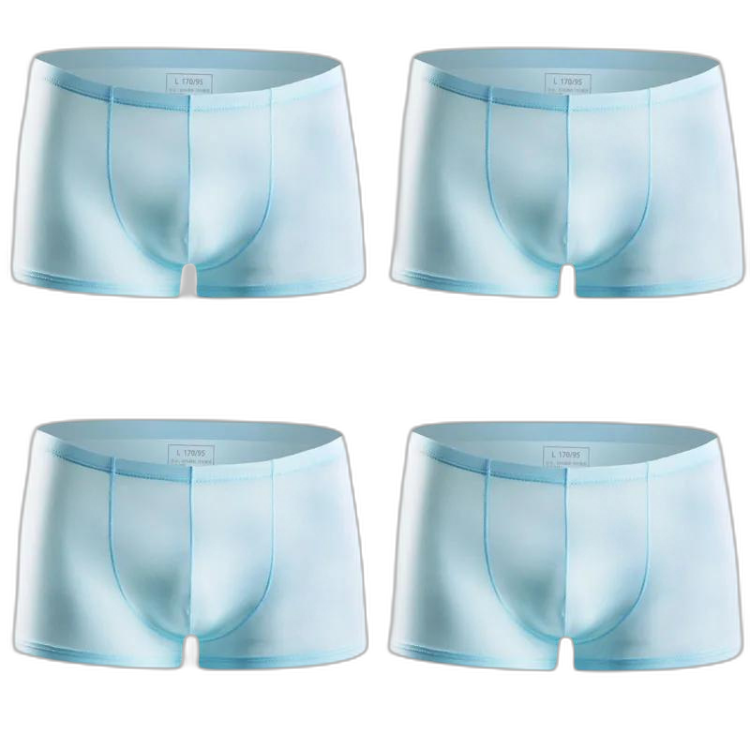 Ice Embrace Transparent Boxer Briefs (4 Pack)