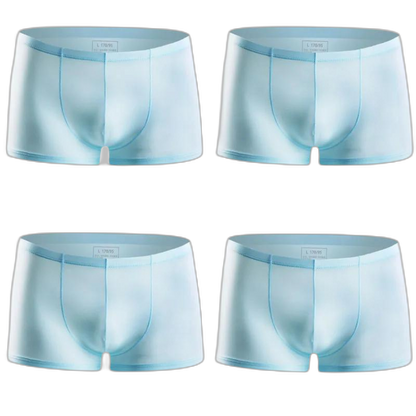 Ice Embrace Transparent Boxer Briefs (4 Pack)