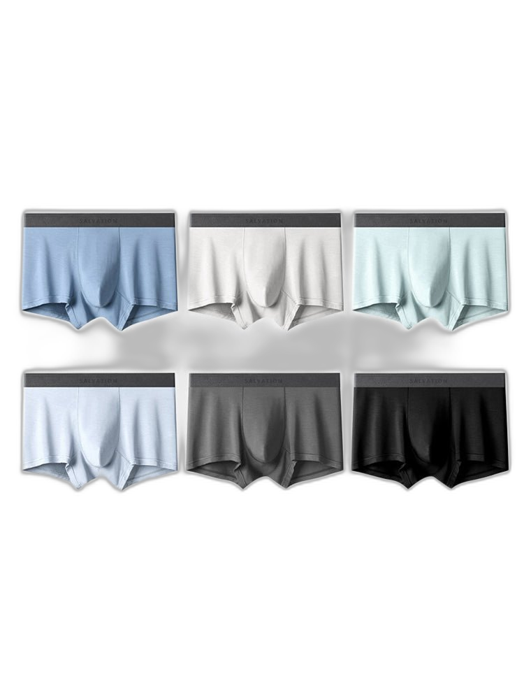 2 Pack Men's Anti-Bacterial Modal Trunks