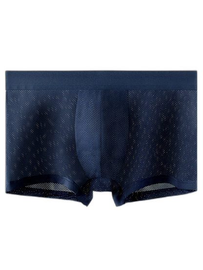 4 Pack Men's Thin Ultra Breathable Mesh Trunks
