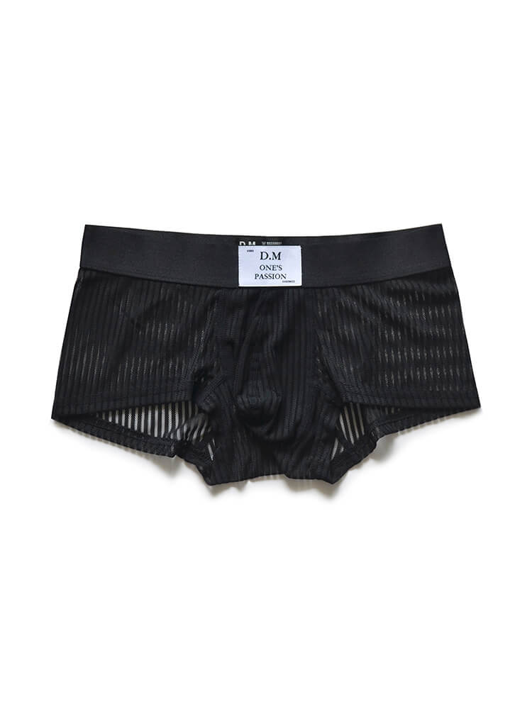 D.M Men's Sexy Mesh Sheer Solid Color Boxer Briefs