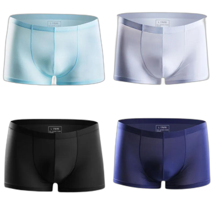 Ice Embrace Transparent Boxer Briefs (4 Pack)
